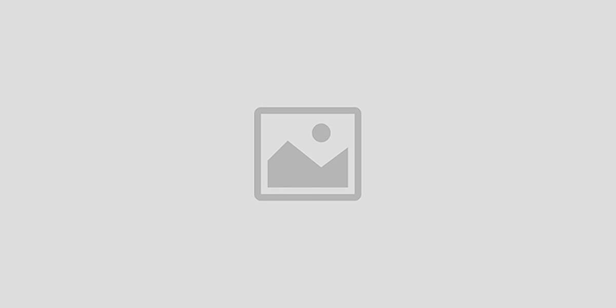 Yigou Cat promo